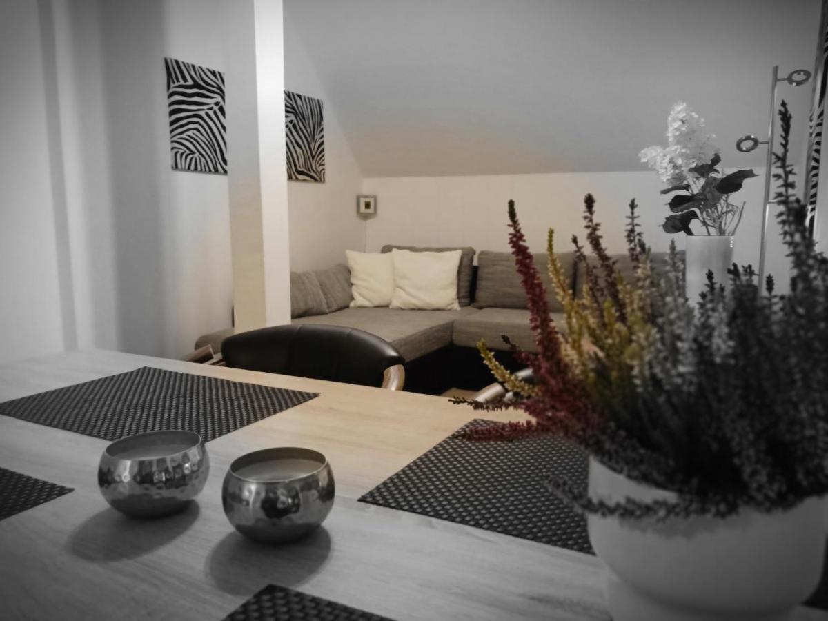 Apartments - Lehmanns Ferienwohnungen Oberwiesenthal Buitenkant foto