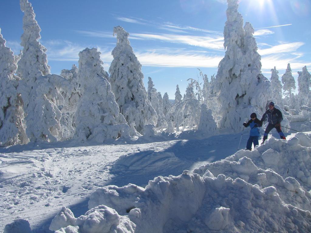 Apartments - Lehmanns Ferienwohnungen Oberwiesenthal Buitenkant foto