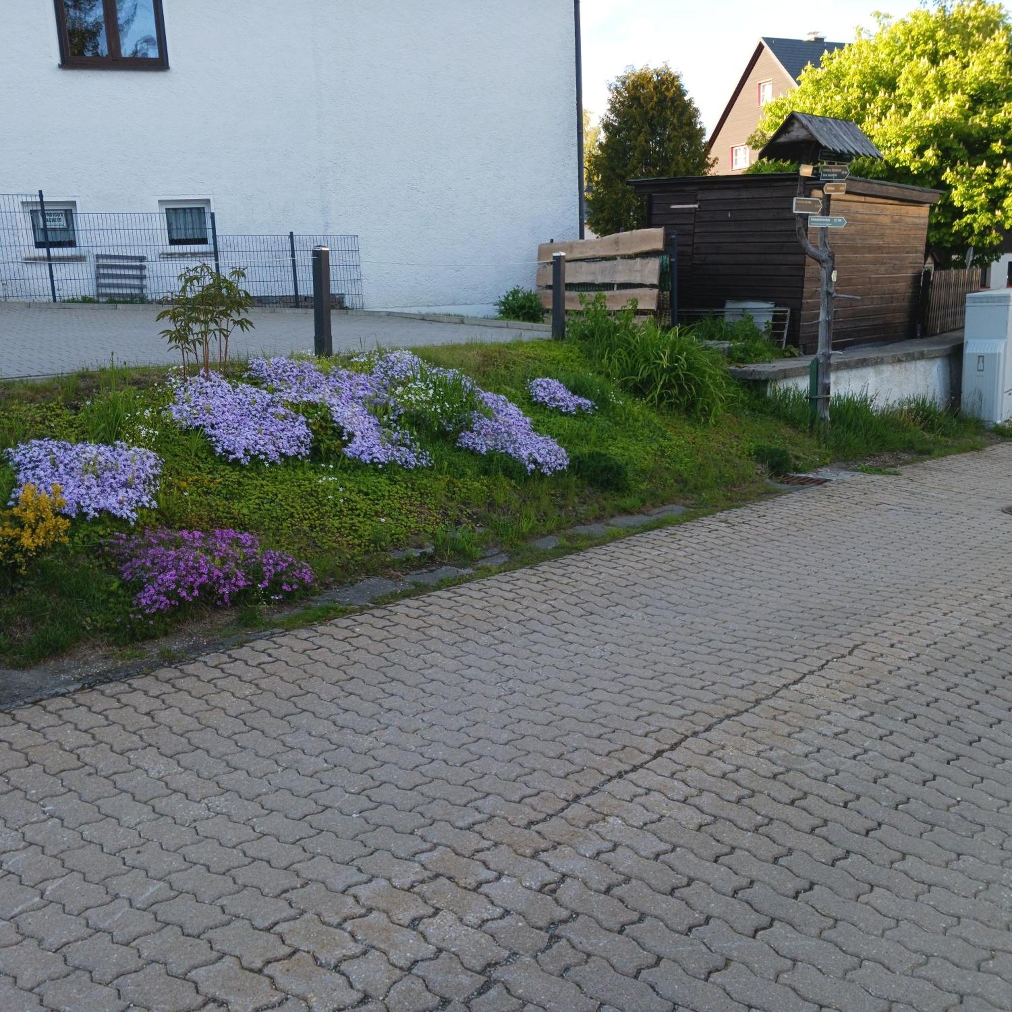 Apartments - Lehmanns Ferienwohnungen Oberwiesenthal Buitenkant foto